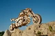 Механічний 3D пазл "Мотоцикл Scrambler з коляскою", 380 елементів UGEARS (4820184121133) - зображення 15