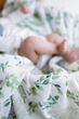 Пеленка муслинная бамбуковая Kiddie Зеленые листики 120х120 см - изображение 3