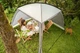 Шатро Easy Camp Day Lounge Granite Grey (120426) - изображение 13