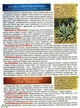 Повний атлас лікарських рослин. Глорія - изображение 5