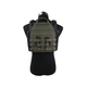 Плейт Керріер TMC Jungle Plate Carrier 2.0 Swimmer Cut Ranger Green - зображення 3