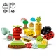 LEGO DUPLO Фермерский огород (10984) - изображение 3