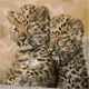 Картина за номерами ArtStory Маленькі леопарди 40*40см - изображение 4