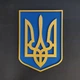 Настенный деревянный трезубец Woodyard Государственный герб Украины 50x38 см (тризуб20) - изображение 3