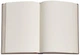 Блокнот Paperblanks Ботанические чудеса – Фламандская роза 18х23 см 144 страницы без линовки (9781439781739) - изображение 5