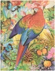 Блокнот Paperblanks Тропический сад 18х23 см 144 страницы без линовки (9781439793053) - изображение 1