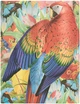 Блокнот Paperblanks Тропический сад 18х23 см 144 страницы без линовки (9781439793053) - изображение 3