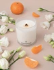 Ароматична Соєва Свічка Aroma Purete М'ята та Клементин 230г - изображение 2