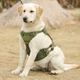 Шлея для собак Vest, тактичний жилет з ручкою М (60-80см) Зелений (132М-GREEN) - зображення 9