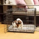 Клітка-вольєр Ferplast Dog-Inn для собак, двосекційна, 77,4×48,5×54,6 см, складна конструкція, для авто - зображення 9