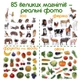 Набор магнитов Magdum Детский мир 85 шт (ML 4031-61 EN) (4820215152891) - изображение 5