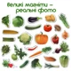 Магнитный набор Magdum Овощи (ML4031-12 EN) (4820215152600) - изображение 3