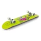 Скейтборд Enuff Skully green (ENU2100-GR) - изображение 2