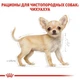 Сухой корм для щенков Royal Canin Chihuahua Puppy породы чихуахуа в возрасте от 2 до 8 месяцев, 0.5 кг (24380051) - изображение 4