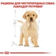 Сухой корм Royal Canin Labrador Retriever Puppy - корм для щенков лабрадор ретривера до 15 мес., 3 кг (249103019) - изображение 4