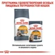 Вологий корм Royal Canin Intense Beauty in Gravy - для кішок для здоров'я шкіри, шматочки в соусі, 85 г (40710010) - зображення 4