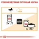 Вологий корм Royal Canin Intense Beauty in Gravy - для кішок для здоров'я шкіри, шматочки в соусі, 85 г (40710010) - зображення 5