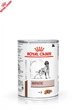 Влажный корм Royal Canin Hepatic - консервы для собак при заболеваниях печени (40220041) - изображение 1