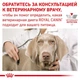 Влажный корм Royal Canin Recovery - консервы для собак и кошек в период восстановления после болезни (40550021) - изображение 4