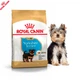 Сухой корм Royal Canin Yorkshire Terrier Puppy - для щенков йоркширского терьера от 2 до 10 месяцев, 0.5 кг (39720051) - изображение 1