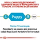 Сухой корм Royal Canin Yorkshire Terrier Puppy - для щенков йоркширского терьера от 2 до 10 месяцев, 0.5 кг (39720051) - изображение 3