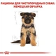 Сухий корм Royal Canin German Shepherd Puppy для цуценят породи німецька вівчарка до 15 місяців, 3 кг (251903019) - зображення 4