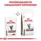 Влажный корм Royal Canin Gastrointestinal - консервы для кошек при нарушении пищеварения, 85 г (40390011) - изображение 6