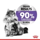 Влажный корм для взрослых кошек Royal Canin Appetite Control Care кусочки в желе, 85 г (1466001) - изображение 5