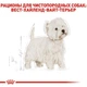 Сухой корм Royal Canin Westie – сухой корм для Вест-Хайленд-Уайт-Терьер от 10 мес., 3 кг (3981030) - изображение 4