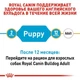 Royal Canin Bulldog Puppy – корм для щенков английского бульдога до 12 месяцев, 12 кг (39671201) - изображение 3