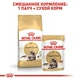 Влажный корм Royal Canin Maine Coon - консервы для взрослых кошек породы мейн-кун в возрасте от 15 месяцев, 85 г (2031001) - изображение 5