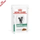 Влажный корм для взрослых кошек Royal Canin Diabetic Cat Pouches, 85 г (40850011) - изображение 1