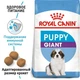 Сухий корм Royal Canin Giant Puppy - корм для щенят гігантських порід від 2 до 8 міс., 15 кг (3030150) - зображення 2