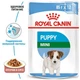 Влажный корм Royal Canin Mini Puppy – консервы для щенков мелких пород до 10 месяцев, кусочки в соусе, 85 г (10990019) - изображение 2