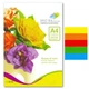 Бумага цветная Spectra Color А4 80 г/м² 50 листов, набор 5 цветов интенсив - изображение 2