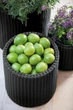Горшок для цветов (кашпо) Keter Cylinder Planter M (17197835) Антрацит - изображение 6