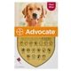 BAYER Advocate Адвокат cпот-он для собак от 10 до 25 кг, 1 пипетка - изображение 1