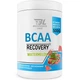 Амінокислота BCAA для спорту Bodyperson Labs BCAA Recovery 500 g /50 servings/ Watermelon - зображення 1