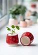 Керамический горшок для суккулентов Mini Plant 6,3х6,4см Арт Сердечки Красный - изображение 3