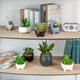 Горщик зі штучною рослиною MBM HOME DH-FLOWERS-16 GREEN/WHITE зелений/білий - зображення 15
