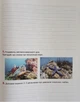 Великий зошит з української мови і математики 3 клас - О. Іщенко, Л. Гайова, Л. Павук (9789669453709) - зображення 8