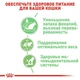 Вологий корм для кішок з чутливим травленням Royal Canin Digestive Care в соусі 85 г (9003579309537) - зображення 2