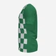 Футболка спортивная длинная мужская Joma Flag II 101465BV.452 XL Зеленая (9999083444096) - изображение 3