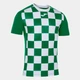 Футболка спортивная длинная мужская Joma Flag II 101465BV.452 XL Зеленая (9999083444096) - изображение 1