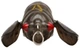 Воблер Savage Gear 3D Cicada F 33mm 3.5g Black (166850) 1854.11.62 - изображение 2