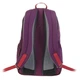 Рюкзак Deuter Nomi 16 plum-cardinal (3810018 5533) - изображение 3