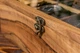 Коробка бокс для хранения часов на 8 секций от ecoWalnut Коричневый 275x180x82 мм - изображение 6