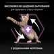 Сухий корм для кошенят Pro Plan Kitten Healthy Start 10 кг - курка - изображение 5