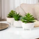 Горщик зі штучною рослиною MBM HOME DH-FLOWERS-16 GREEN/WHITE зелений/білий - зображення 12