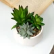 Горщик зі штучною рослиною MBM HOME DH-FLOWERS-16 GREEN/WHITE зелений/білий - зображення 7